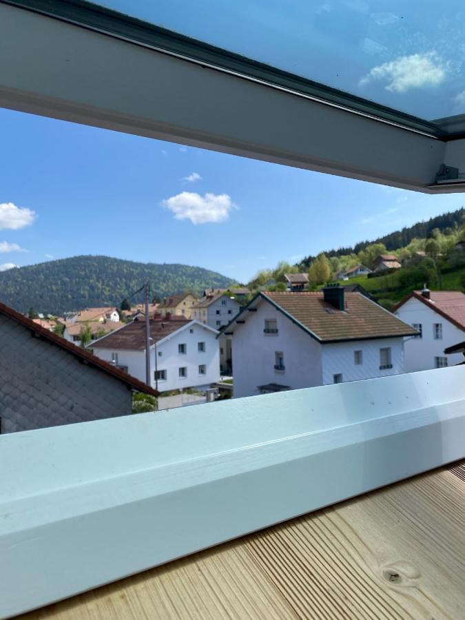 Studio Cocooning Cledicihome Parking Prive Centre Ville Gerardmer Luaran gambar