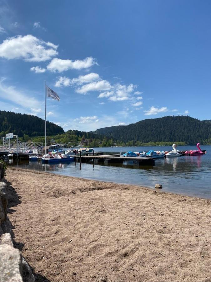 Studio Cocooning Cledicihome Parking Prive Centre Ville Gerardmer Luaran gambar