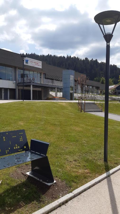 Studio Cocooning Cledicihome Parking Prive Centre Ville Gerardmer Luaran gambar